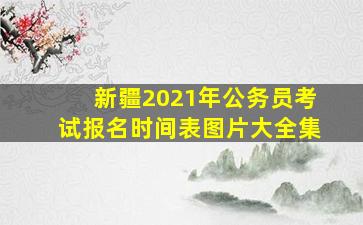 新疆2021年公务员考试报名时间表图片大全集