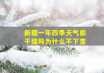 新疆一年四季天气都干燥吗为什么不下雪