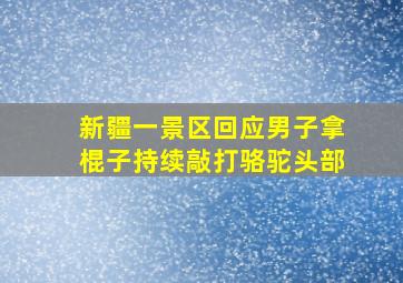 新疆一景区回应男子拿棍子持续敲打骆驼头部