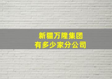 新疆万隆集团有多少家分公司