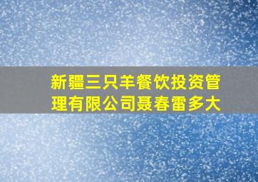 新疆三只羊餐饮投资管理有限公司聂春雷多大