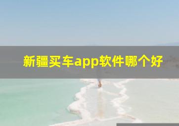 新疆买车app软件哪个好