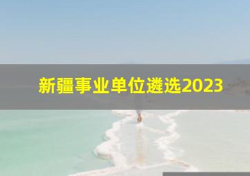 新疆事业单位遴选2023