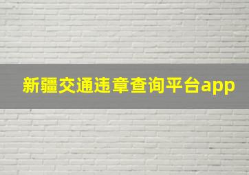 新疆交通违章查询平台app