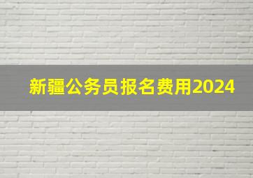 新疆公务员报名费用2024