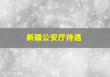 新疆公安厅待遇