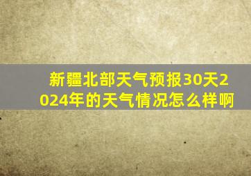 新疆北部天气预报30天2024年的天气情况怎么样啊