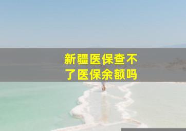 新疆医保查不了医保余额吗