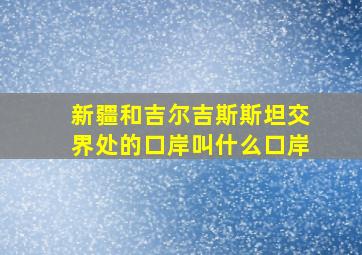 新疆和吉尔吉斯斯坦交界处的口岸叫什么口岸