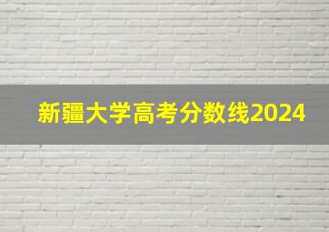 新疆大学高考分数线2024