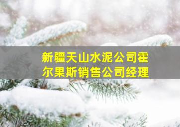 新疆天山水泥公司霍尔果斯销售公司经理