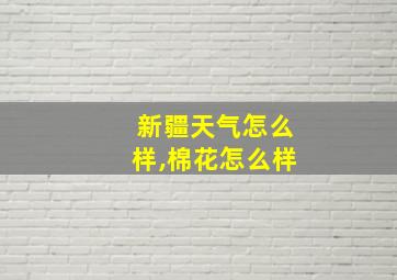 新疆天气怎么样,棉花怎么样