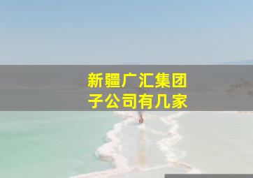 新疆广汇集团子公司有几家