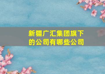 新疆广汇集团旗下的公司有哪些公司