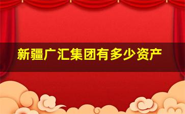 新疆广汇集团有多少资产