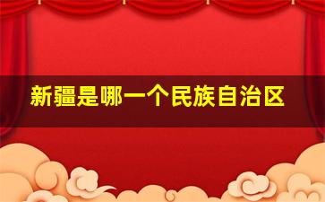 新疆是哪一个民族自治区