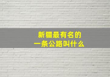 新疆最有名的一条公路叫什么