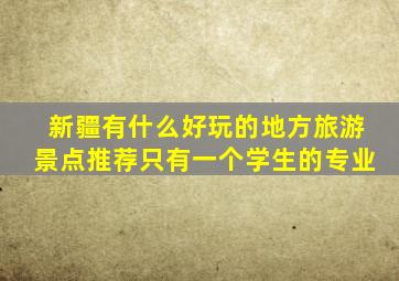 新疆有什么好玩的地方旅游景点推荐只有一个学生的专业