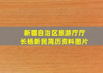 新疆自治区旅游厅厅长杨新民简历资料图片