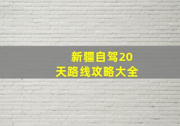 新疆自驾20天路线攻略大全