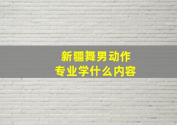 新疆舞男动作专业学什么内容