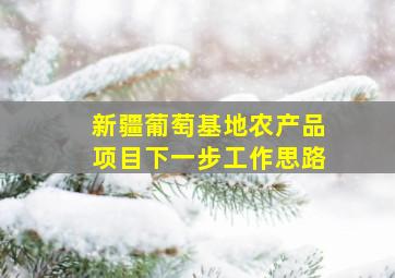 新疆葡萄基地农产品项目下一步工作思路