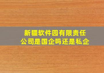 新疆软件园有限责任公司是国企吗还是私企