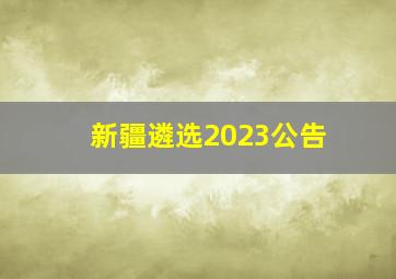 新疆遴选2023公告