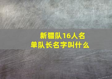 新疆队16人名单队长名字叫什么