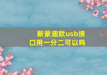 新蒙迪欧usb接口用一分二可以吗