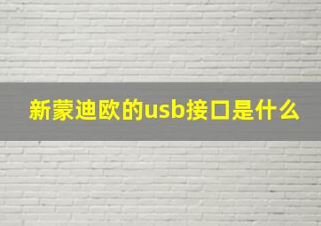 新蒙迪欧的usb接口是什么