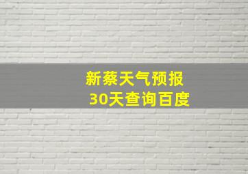 新蔡天气预报30天查询百度