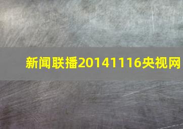 新闻联播20141116央视网