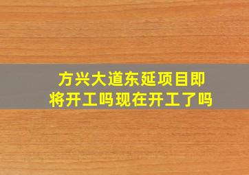 方兴大道东延项目即将开工吗现在开工了吗