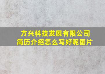 方兴科技发展有限公司简历介绍怎么写好呢图片