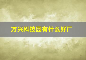 方兴科技园有什么好厂