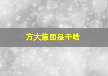 方大集团是干啥