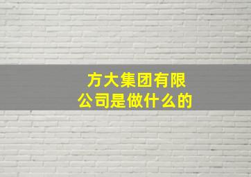 方大集团有限公司是做什么的