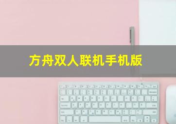 方舟双人联机手机版