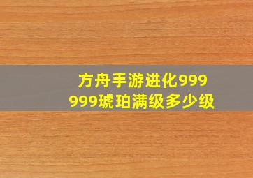 方舟手游进化999999琥珀满级多少级