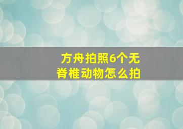 方舟拍照6个无脊椎动物怎么拍