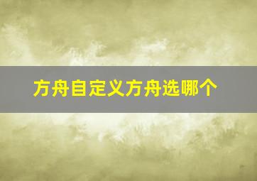 方舟自定义方舟选哪个