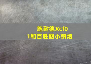 施耐德Xcf01和百胜图小钢炮