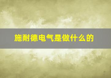 施耐德电气是做什么的