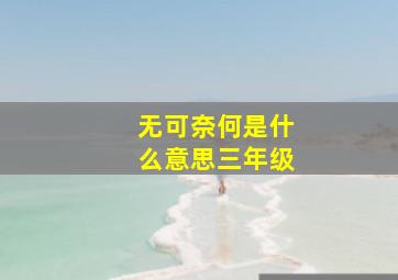 无可奈何是什么意思三年级