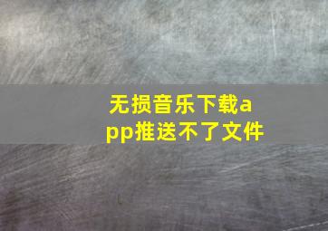 无损音乐下载app推送不了文件