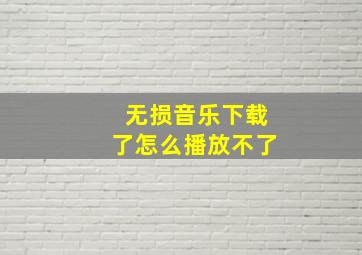 无损音乐下载了怎么播放不了