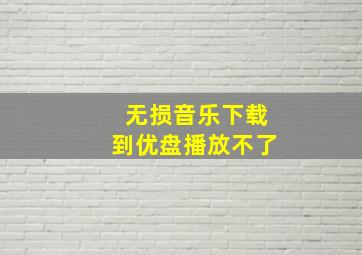 无损音乐下载到优盘播放不了