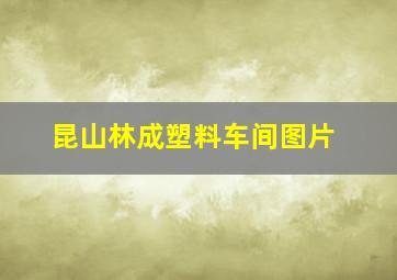 昆山林成塑料车间图片