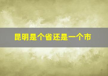 昆明是个省还是一个市